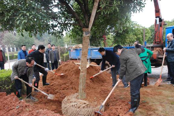 开云手机登录入口（中国）官方网站开展植树活动